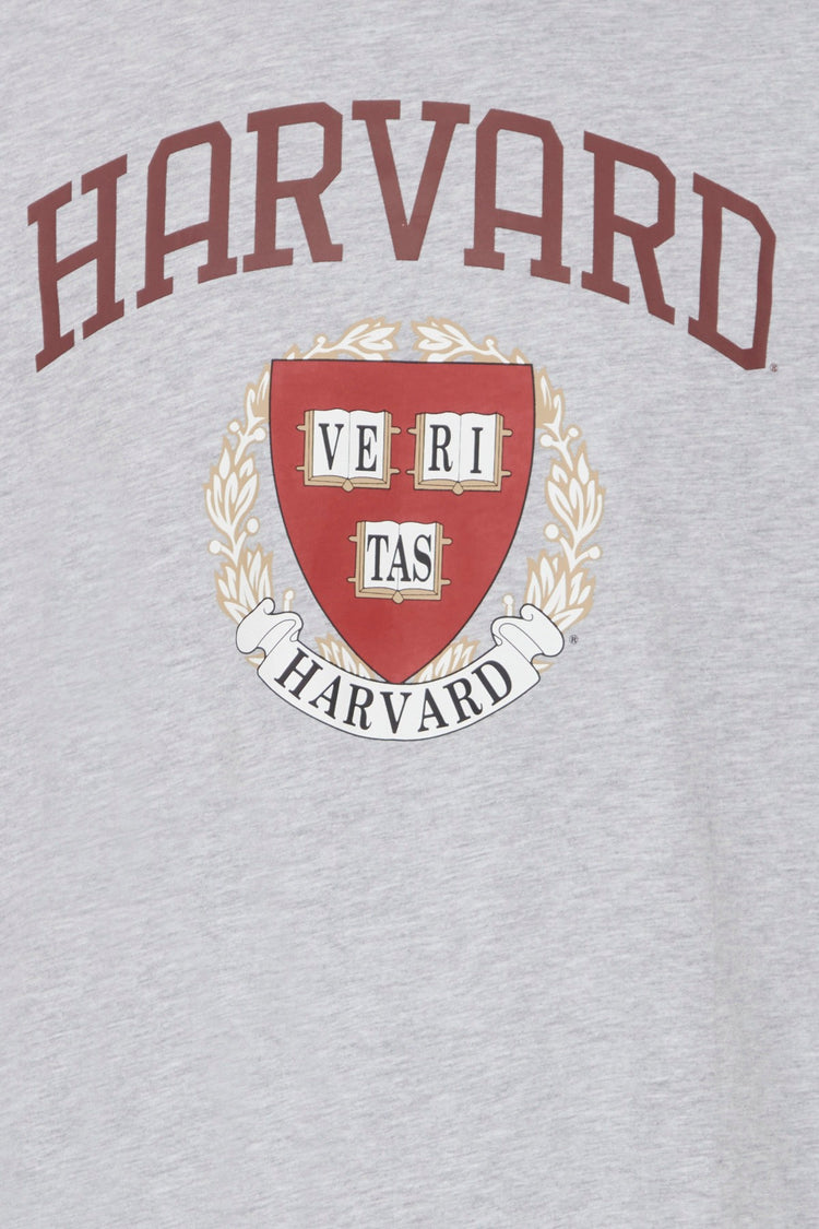 Blend He Tee | Stone mix