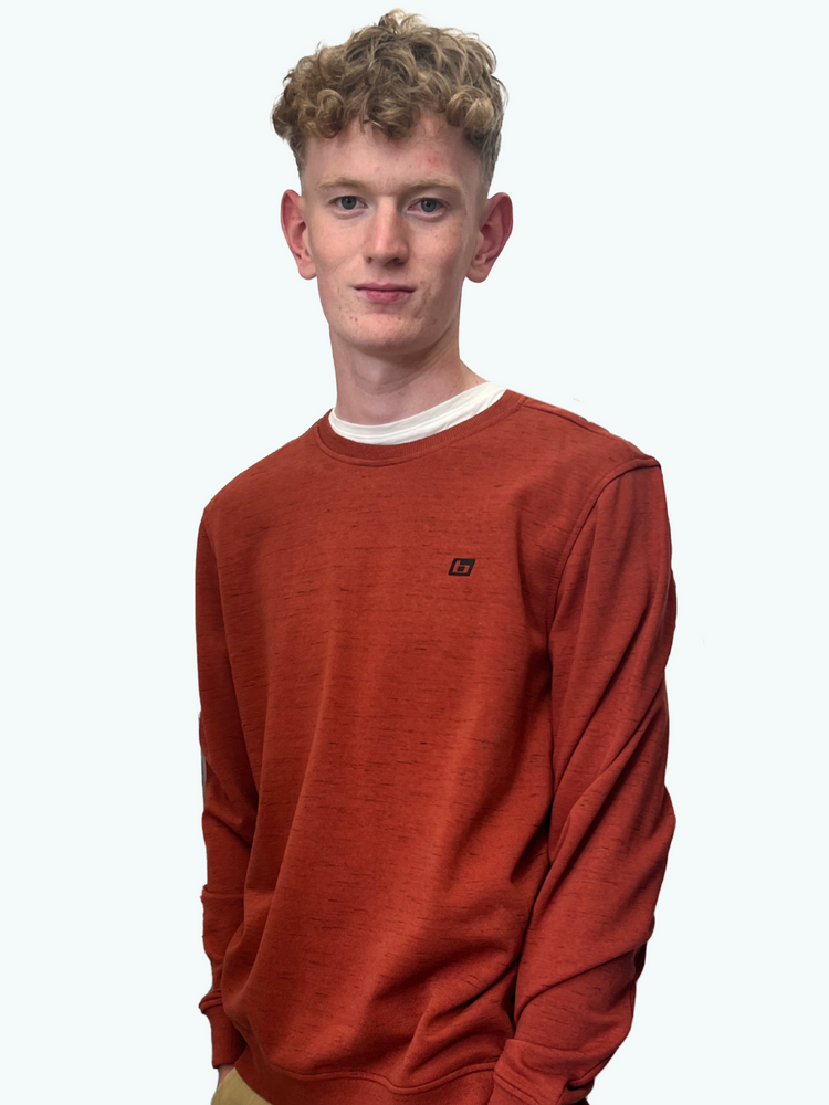 Blend He Sweatshirt | Burnt Henna