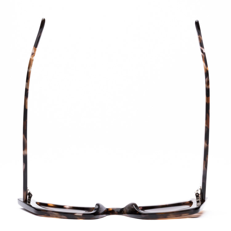 Cult Vision: Chestnut Tort/Coffee