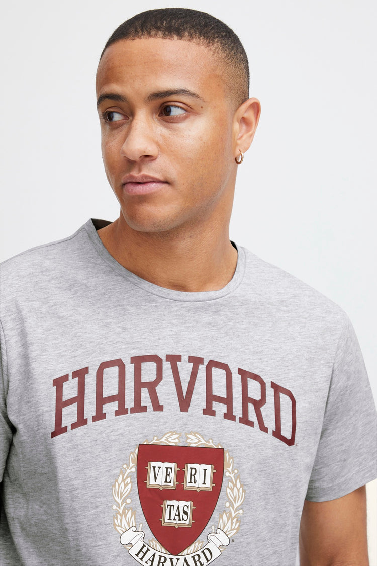 Blend He Tee | Stone mix