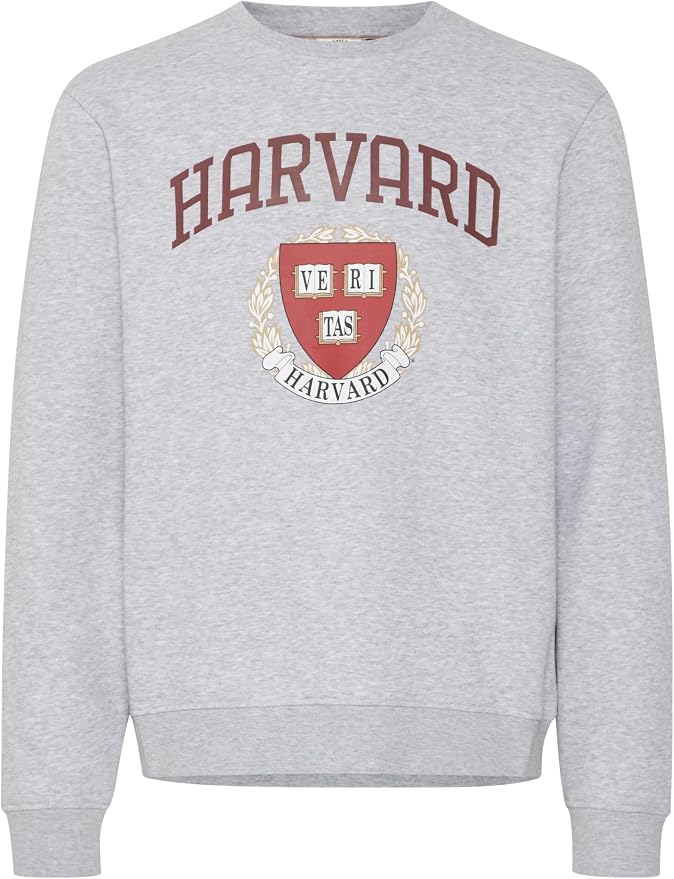 Blend He Sweatshirt | Stone mix
