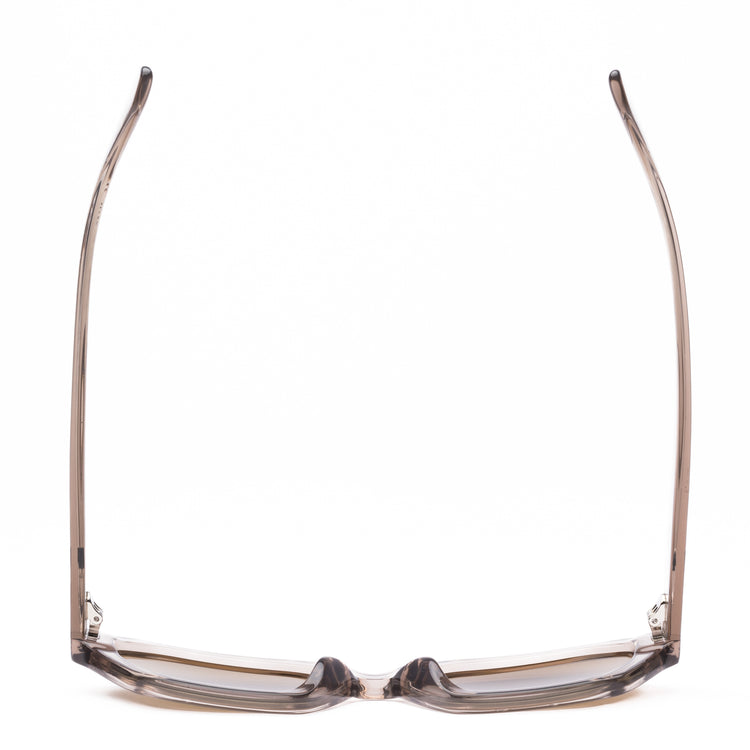 Kinetic: Chintz/Brown Polar