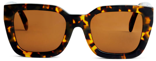 Sito Sunglasses - HARLOW : Tortie/Brown Polar