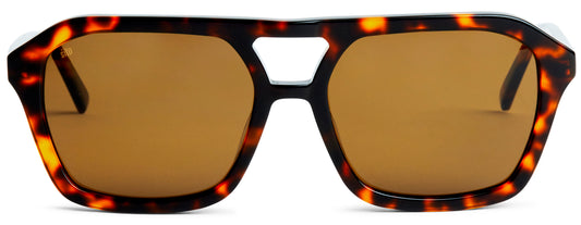 Sito Sunglasses - THE VOID : Honey Tort/Brown Polar